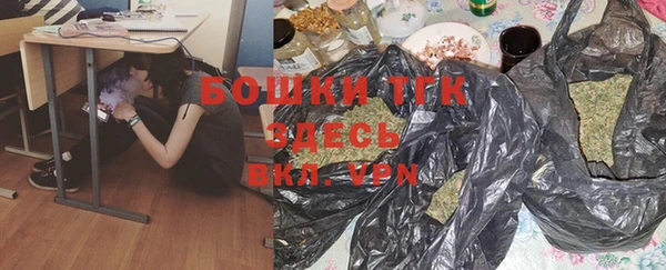 бошки Пересвет